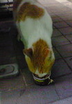 NEC_0379.jpg